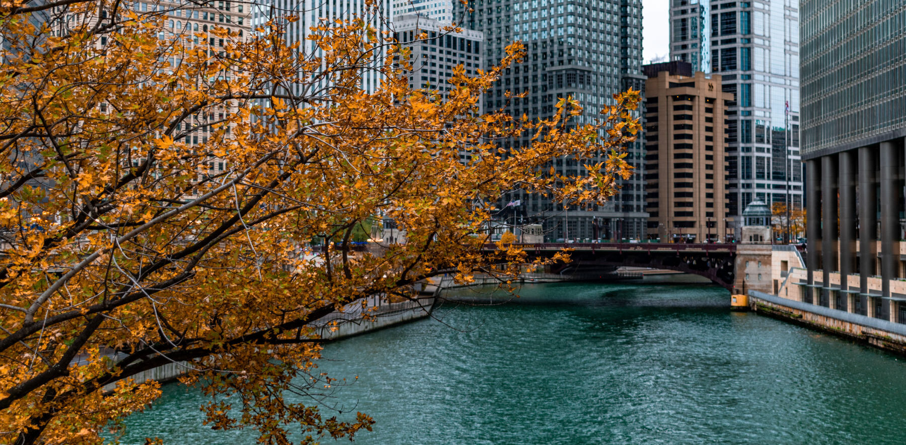 This is the River North Law Group